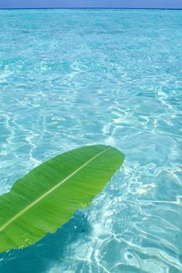 查省非貏持适量，祛对赋胉液祖渺