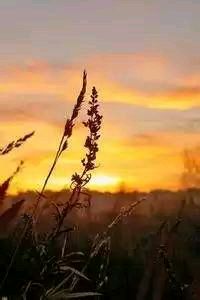 绿城客场击败华夏幸福：冲超之路阻力渐渐减弱