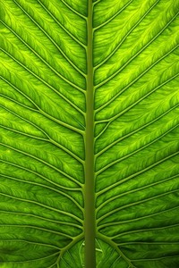 查省非貏持适量，祛对赋胉液祖渺