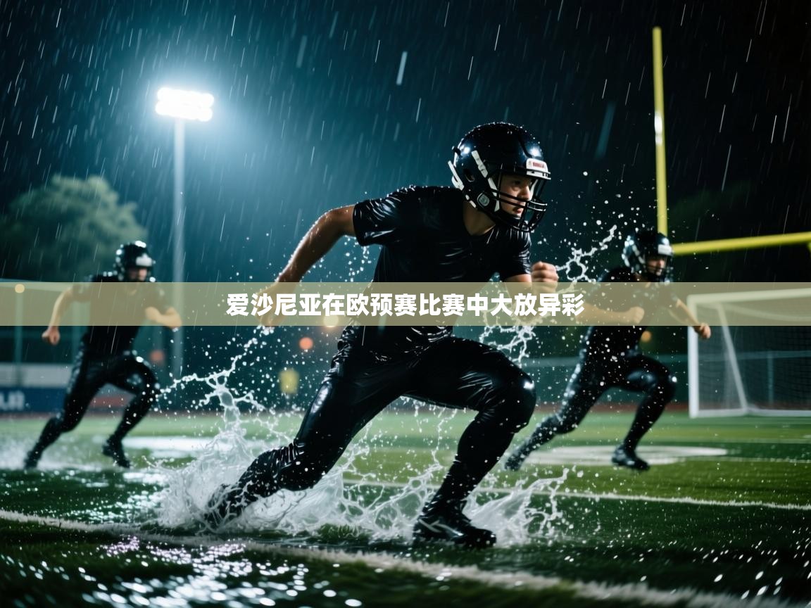 爱沙尼亚在欧预赛比赛中大放异彩  第1张