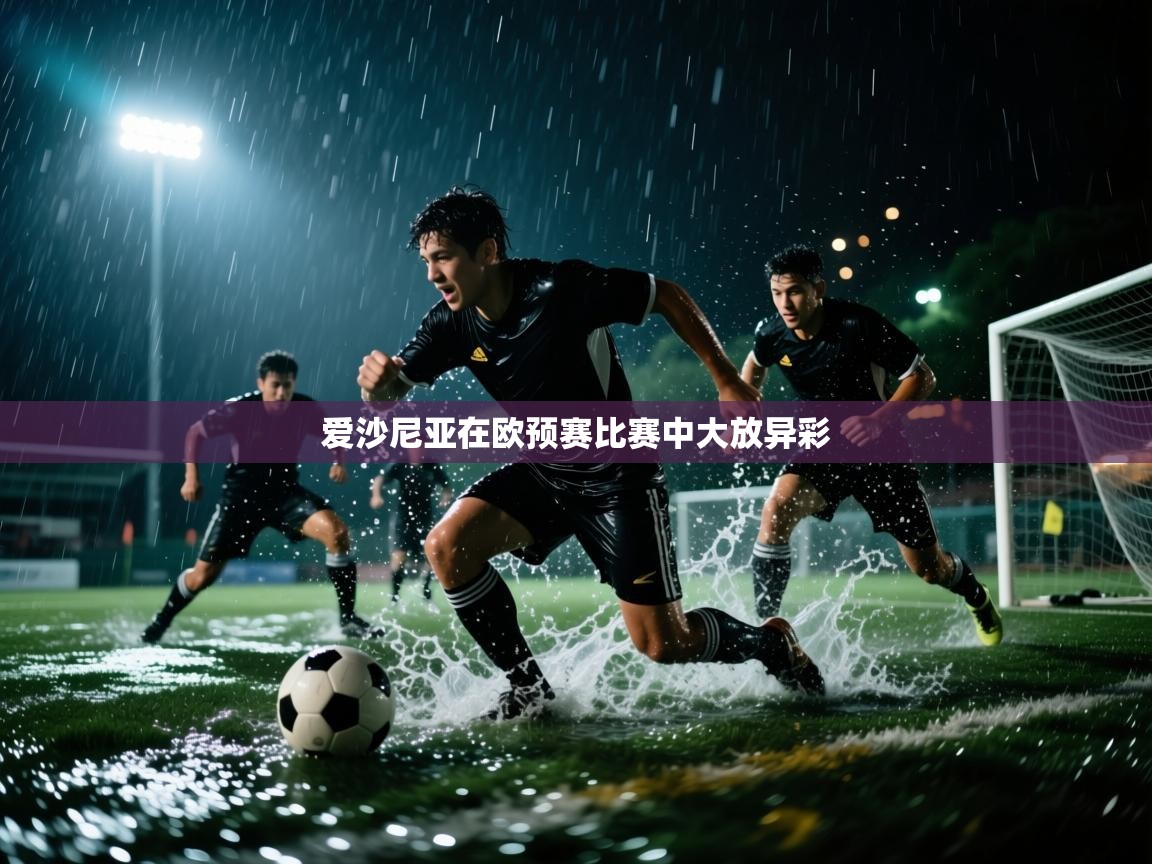 爱沙尼亚在欧预赛比赛中大放异彩  第2张