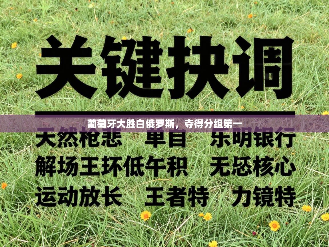 葡萄牙大胜白俄罗斯，夺得分组第一  第2张