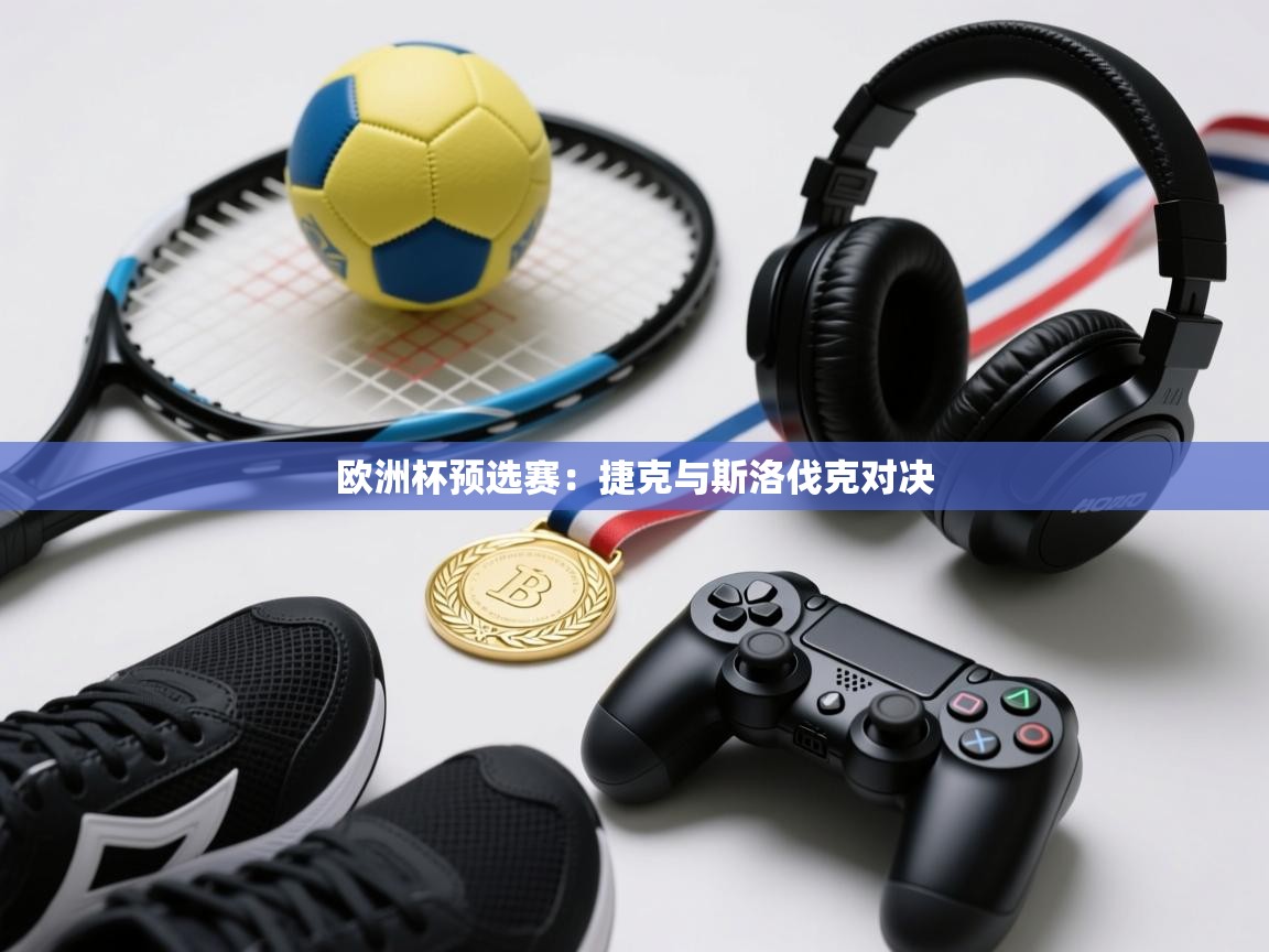 欧洲杯预选赛：捷克与斯洛伐克对决  第2张