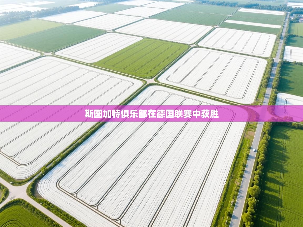 斯图加特俱乐部在德国联赛中获胜