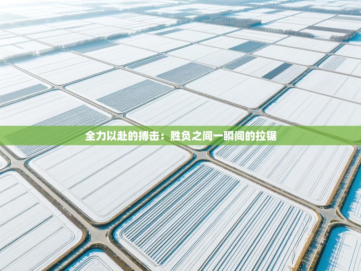 全力以赴的搏击：胜负之间一瞬间的拉锯